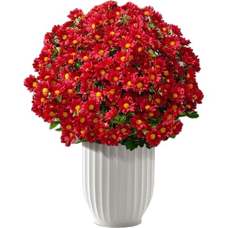 Faux Chrysanthèmes Décoratif Réaliste Imperméable Résistant Aux Intempéries  Fleurs Artificielles Anti-UV pour Extérieur Pour Intérieur, Jardin, (1/5)