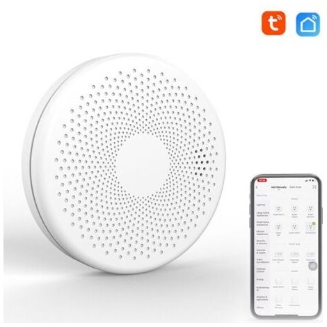 Détecteur de fumée et de monoxyde de carbone intelligent – Alarme sonore 85 dB – Connectivité Wi-Fi 2.4G – Installation facile avec support inclus - WIFI 2 EN (1/5)