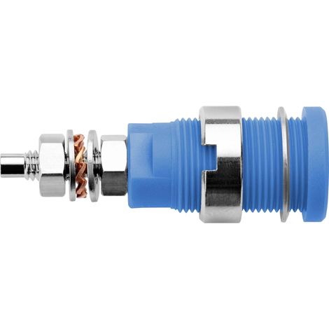 Schützinger DI SEB 6446 Ni / BL Prise encastrée de sécurité bleu 1 pc(s) Y156482