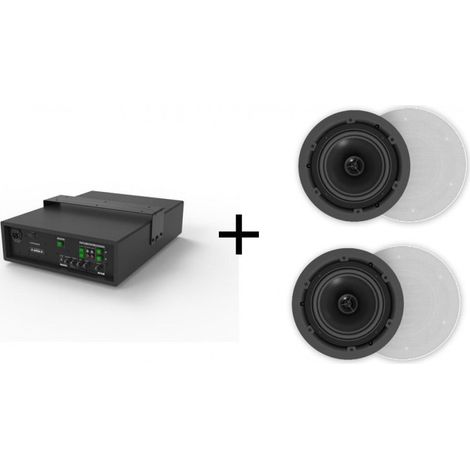 Ensemble audio : caisson de basses 8" 50 W + 2 haut-parleurs de plafond