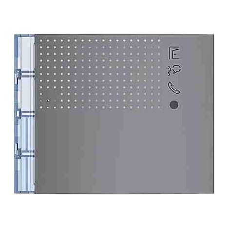 Panel frontal del módulo de audio avanzado BTI351103 en acabado Allstreet