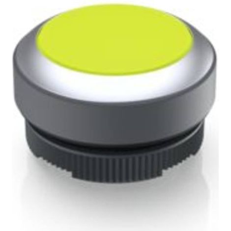RAFI 1.30.270.021/2400 RAFIX 22 FS Bouton-poussoir lumineux à rappel à rappel (L x l x H) 29.8 x 29.