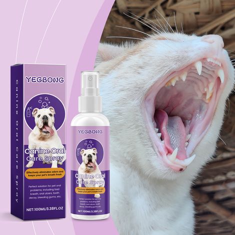 Spray bucco-dentaire pour animaux - Nettoie les taches et le jaunissement des dents, rafraîchit l'haleine - 100 ml (1/5)
