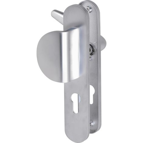 Poignée de porte d'entrée à cylindre – Entraxe 195 mm – Finition gris argent – Pour épaisseur de porte 40 mm – Eurowale