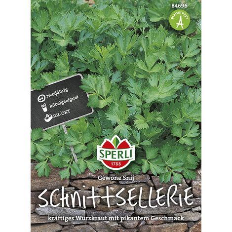 Sperli – Céleri à couper Gewone Snij – Graines d'aromatiques, bisannuel, hauteur env. 45 cm (1/2)