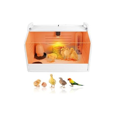 Incubatrice Couveuse pour poussins Boîte de couvaison Lampe chauffante Fenêtre transparente Boîte d'élevage de poussins, Couveuse Chauffe jusqu'à 15 poussins pour Poule, Oie, Canard, Pigeon, Caille (1/5)