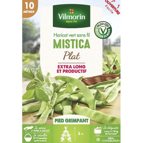 Vilmorin – Haricot grimpant plat vert Mistica – Gousses longues 25 cm – Résistant aux maladies – Pour semis en avril – Récolte en juillet