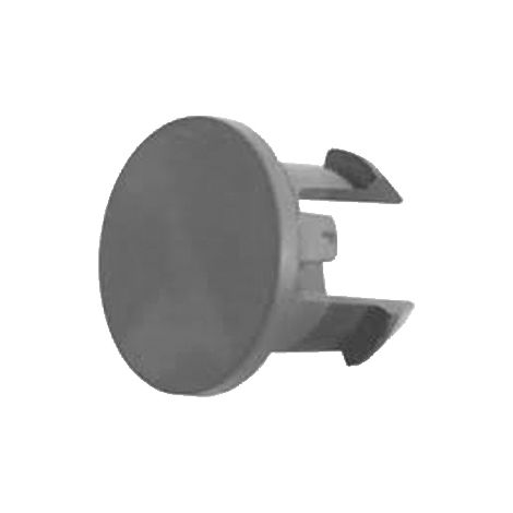 TAPPO DESTRO GRIGLIA ANTERIORE - IVECO - Stralis 2007 - 504170882 - 504187045