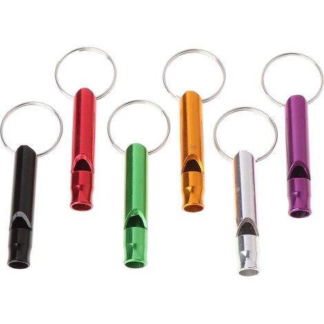 Sifflet de dressage à ultrasons pour chien - En alliage métallique - 4,6 cm (1/5)