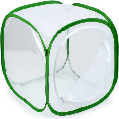 Jaula plegable para insectos de 303030 cm, Bandeja para plántulas / Invernadero / Jaula para mariposas, Producto de Belle (1/5)