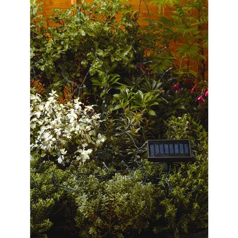 Guirlande solaire 200 leds blanches, 2 modes (1/3)