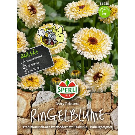 Sperli Ringelblumen Ivory Princess - Blumensamen (1/2)