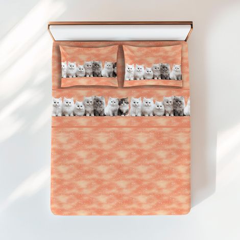 Ensemble de draps Kittens Salmon - Imprimé doux et réaliste - 100 % coton - Fabriqué en Italie, lavable 2 PLACES