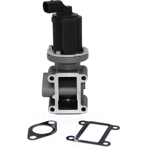 Vanne EGR avec joint 161859 1618NR Compatible avec 1.6 HDI C2 C3 C4 C5 Berlingo 206 207 307 308 407 1007 1618.59 1618.NR 9649358780 9660276280 9685640480 9672880080 (1/5)
