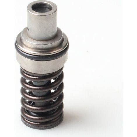 Die Kolben für Kfz-Hochdruckpumpen sind für Audi EA888, EA111 2.0 zweite Generation und EA837 1.4 Motoren geeignet. (1/4)