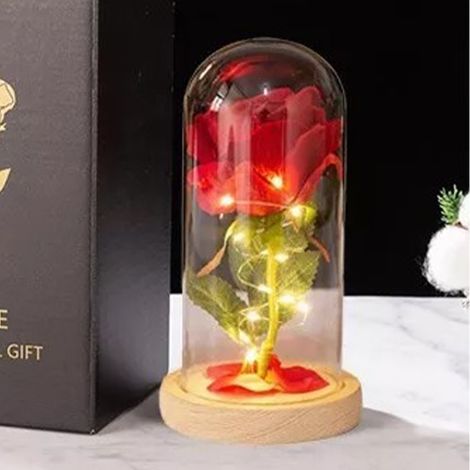 Lampe Bouteille Rose, magnifique lampe LED aux couleurs éclatantes avec des roses séchées dans une bouteille, cadeau d'anniversaire ou de Saint-Valentin (1/5)