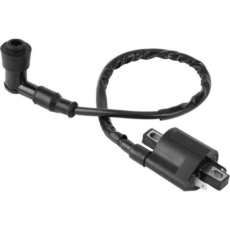 Bobine d'allumage pour motos CBF125, CBR125, CR125 et CR250 : bobine d'allumage haute qualité avec câble de bougie et performances durables. (1/5)