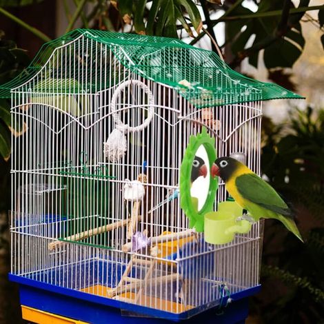 Jouet de miroir d'oiseau, miroir d'oiseau jouet acrylique de perche d'oiseau miroir polyvalent de perroquet suspendu miroir pour cage accessoire (1/3)