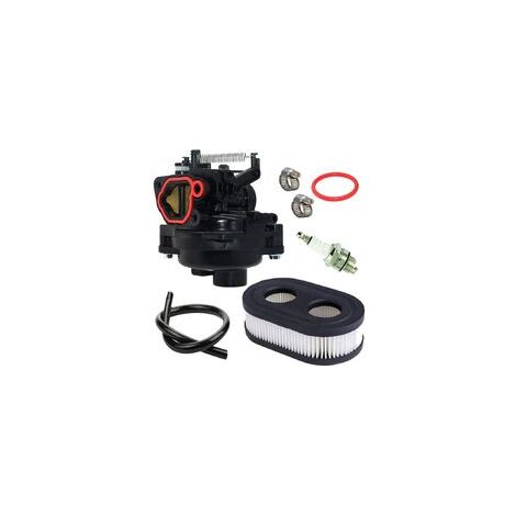 Carburateur de Qualité 799584 pour Moteurs Briggs et Stratton 09P702-0145-F1 09P702-0098-F1 550Ex 625Ex 675Ex 725Exi 140CC (1/5)