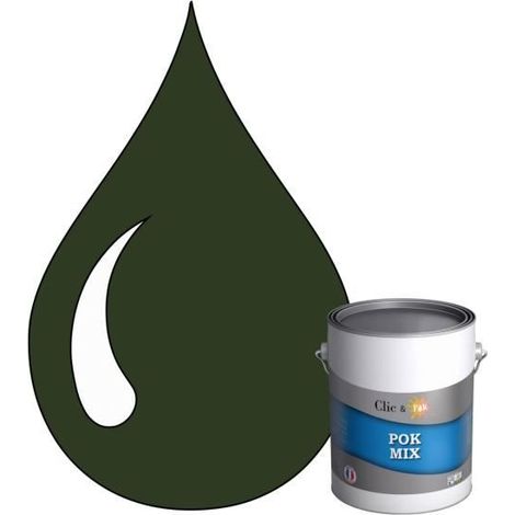 Peinture d'Accroche et Finition 2 en 1 - POK - RAL 6020 - Vert Oxyde Chromique - Satiné - 1L (1/4)