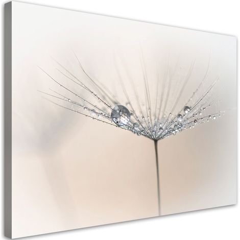Tableau Moderne, Pissenlits plantes fleurs rosée,30x20 (1/4)