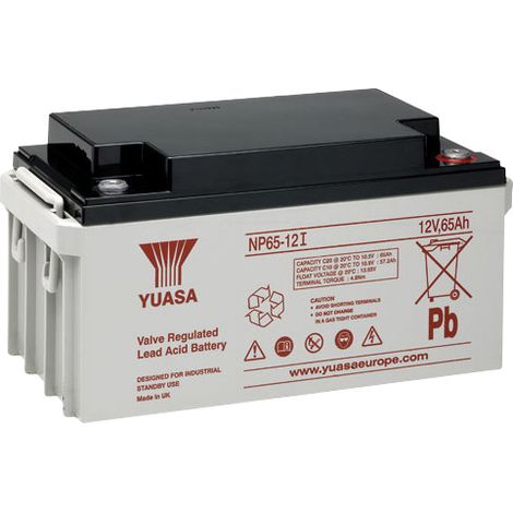 Batteria al piombo ermetica 12V 65Ah - Yuasa NP65-12I