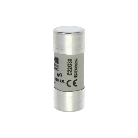Zylindrischer Einsatz 22x58 80A GG 500V AC (1/2)