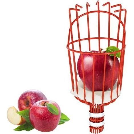 Cueille Fruits métallique avec Griffe, Outil de cueillette de Fruits métal, Outils de Jardinage pour récolte de Pommes, Agrumes, Poires, Pêches (1/5)