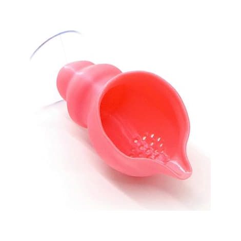 Mobilier et décoration d'aquariumSupport pour poissons avec coquillage et ventouse pour betta et crevettes, style européen, rose rouge (1/5)