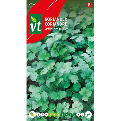 Coriandre - Ca. 1,5 gr (Livraison Gratuite) (1/2)