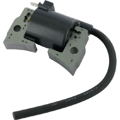 Brigg & Stratton Bobina elettronica 19N, 25N (1/3)