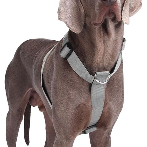 Harnais pour Chien Réglable et Anti-Traction - Confortable et Résistant, Idéal pour Promenades et Dressage, Sangle Durable avec Boucles à Dégagement Rapide, Taille M L XL (1/5)
