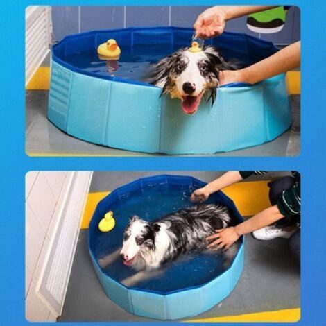 Piscine pliable pour chien, pataugeoire pour chien, piscine pour chien, bleu-Ensoleillé (1/5)