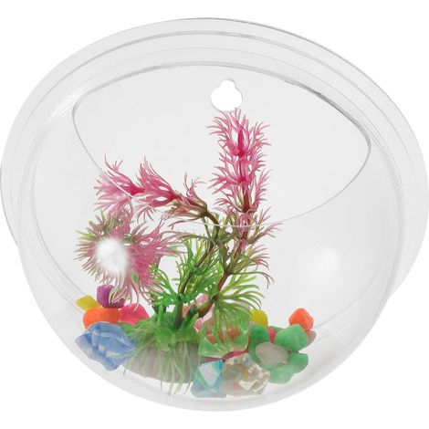 Vase mural hydroponique Ipetboom en acrylique transparent pour la décoration intérieure (1/5)