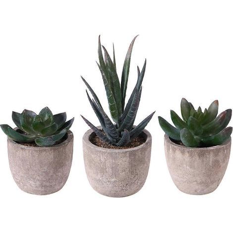 OUNONA Lot de 3 fausses plantes succulentes artificielles décoratives avec pots-7.00X6.50X6.50CM (1/3)