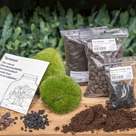 Kit DIY Terrarium de Plantes - Recharge et Démarrage - Taille S/M - Substrat et Mousse Verte - PANGIVO (1/3)