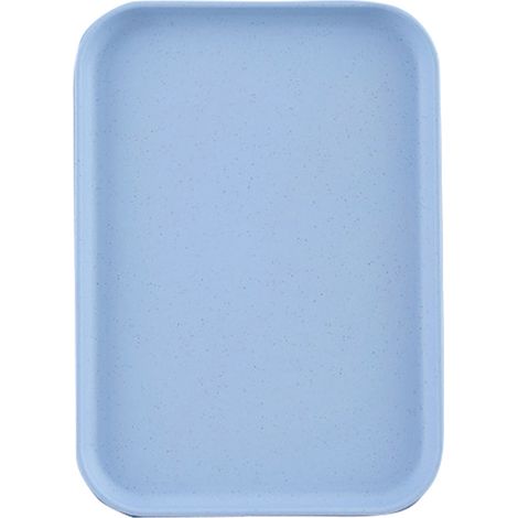 Plateau de Service Rectangulaire Paille de Blé Style Nordique, Plateau à Gâteaux Fruits Snacks pour Maison Bureau Restaurant, Bleu Clair Taille L (38x27cm) (1/5)