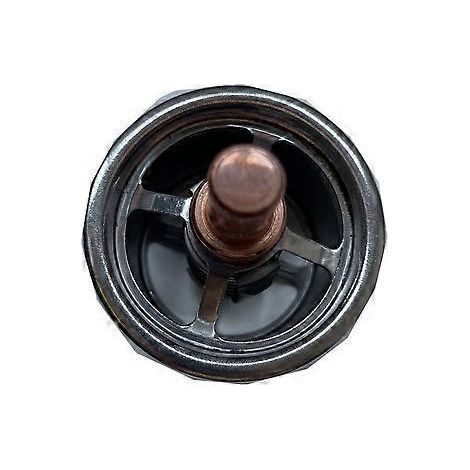 Wassertemperaturregler-Thermostat 248-5513 247-7133 (1/5)