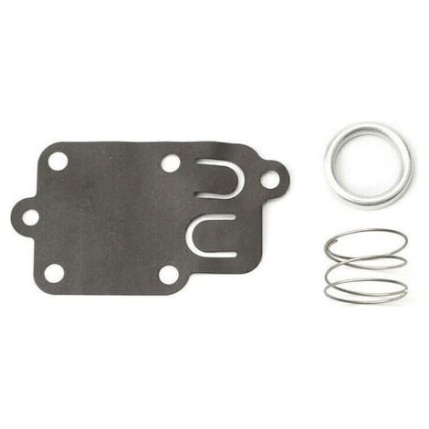 Membrane carburateur Briggs et Stratton (1/4)