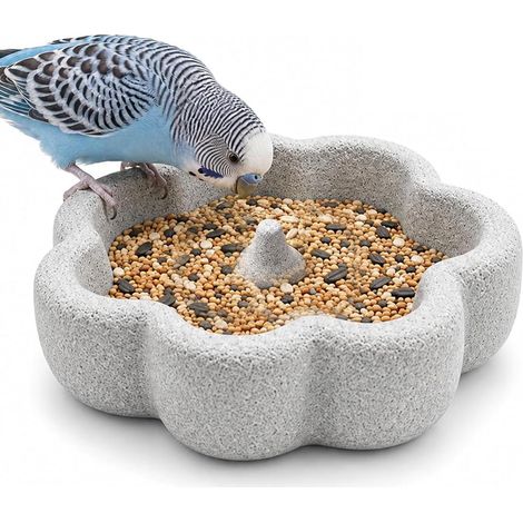 Mangeoire et abreuvoir 2 en 1 pour oiseaux en pierre ponce 15 cm (1/5)