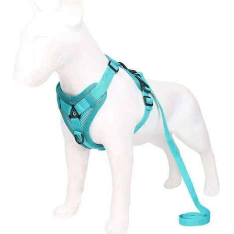 Harnais réglable Anti-éclatement pour Chat avec Laisse - Harnais Souple pour Chat - Harnais de Poitrine pour Chat - Chiot - Lac Bleu S (1/5)