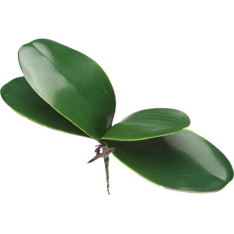 EVA-Simulationsblätter der Phalaenopsis-Orchidee, künstliche Blätter mit realistischer Haptik, Latex-Cymbidium-Stängel für Blumenarrangements und Topfdekoration (K) (1/5)