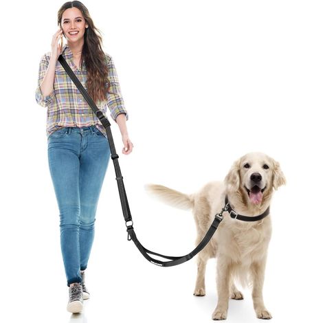 Laisse Main Libre Chien, Laisse Multifonctionnelle Renforcée 2.9m (1/5)