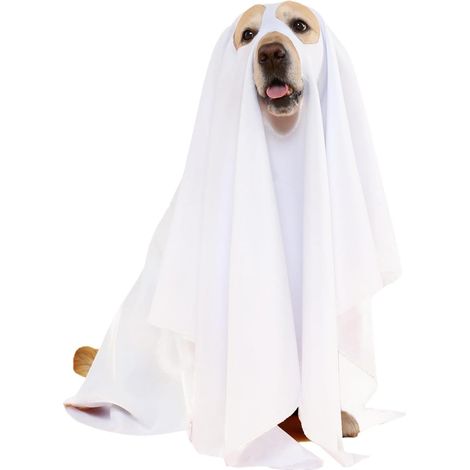 Halloween-Halloween-Chien-Fantasie-Kostüm, Umhang für Tierfreunde, Cosplay-Verkleidung für Chien (1/4)