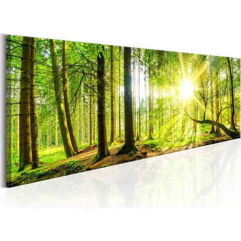 Quadro - Majestic Trees - 150x50 (1/4)