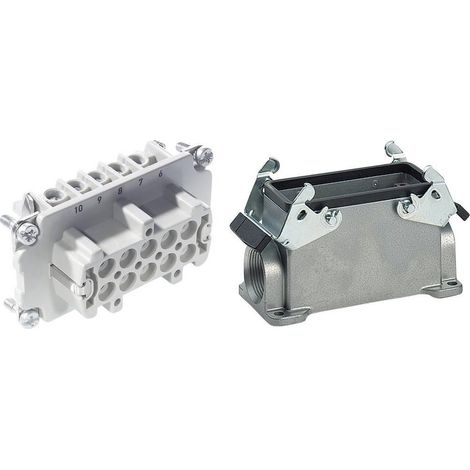 Kit Lapp EPIC H-BE 10 gris 10 polos PE IP65