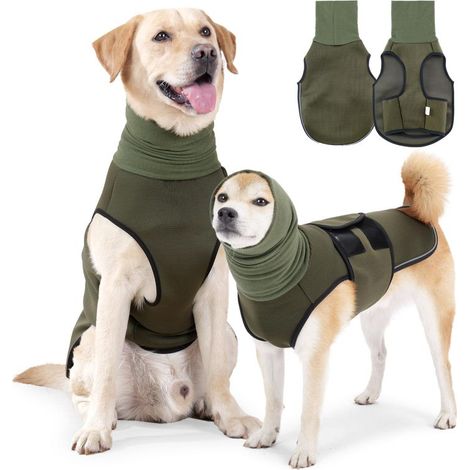 Gilet anti-anxiété pour chiens, une veste qui peut être utilisée comme couvre-chef pour soulager l'anxiété (1/5)