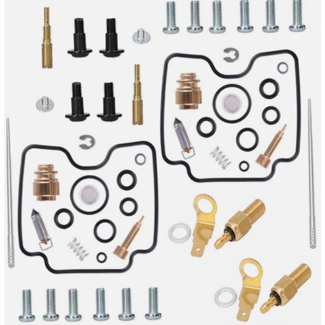 Passend für Vergaser-Reparatursatz für Yamaha V-Star 1100 XVS1100 1999-2009 (1/2)