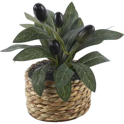 Olivier artificiel en pot réaliste tissé à la main en plastique - Décoration verte réaliste - 15 cm - Taille compacte - Pot noir pour bureau, maison, salon (1/5)