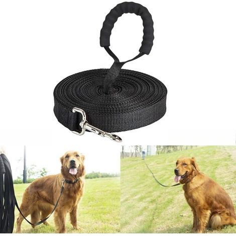 Longe pour Chien - Longe Chien 5m 10m 15m 20m 30m Laisse pour Chien, Laisse de Dressage avec Poignée pour Chiens (1/5)